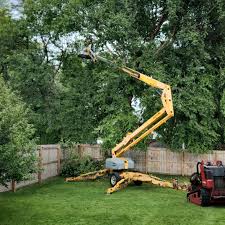 Best Seasonal Cleanup (Spring/Fall)  in Oak Ridge North, TX