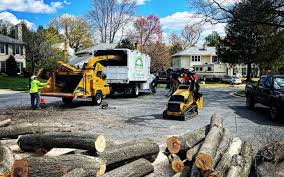 Best Lawn Renovation and Restoration  in Oak Ridge North, TX