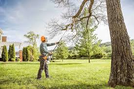 Trusted Oak Ridge North, TX Tree Services Experts