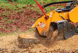 Best Lawn Watering Services  in Oak Ridge North, TX