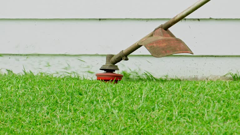 Best Lawn Irrigation Installation and Maintenance  in Oak Ridge North, TX